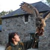 P1070622 Ashford Castle's School of Falconry