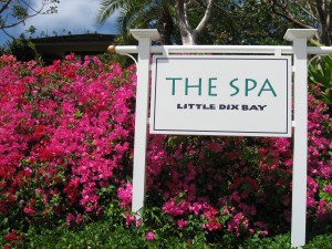 Sense Spa at Little Dix Bay by Susan Manlin Katzman