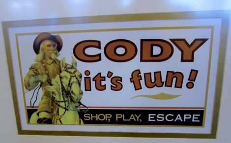 Cody It's Fun by Susan Manlin Katzman