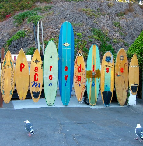 Surf Boards Paradise Cove