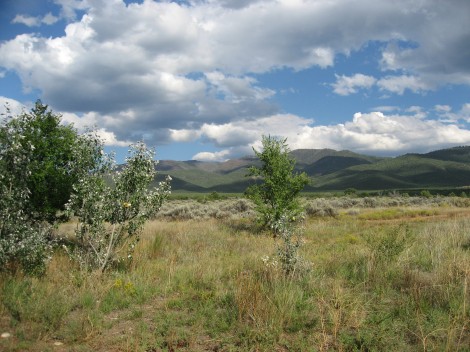 Taos Landscape by Susan Manin Katzman