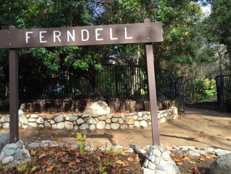Ferndell Sign by Susan Manlin Katzman