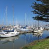 Moss Landing Harbor by Susan Manlin Katzman