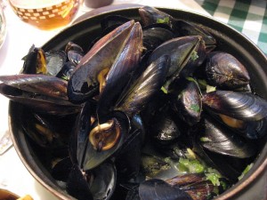 Mussels