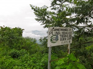 Pluma Hidalgo By Susan Manlin Katzman