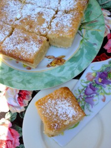 Gooey Butter Cake by S.M. Katzman