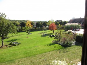 Lawn at Wald & Schlosshotel 