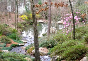 Spring in Hot Springs