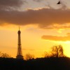 Paris at Sunset by Susan Manlin Katzman