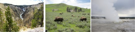 College of Yellowstone National Park by Susan Manlin Katzman
