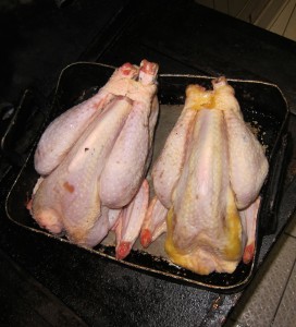 Coucou de Rennes ready for the oven at D'Chez Eux