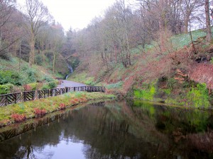 Campsie Fells by Susan Manlin Katzman