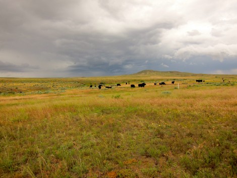 Cody and Wide Open Spaces 