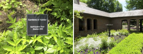 Gardens  at The American Club