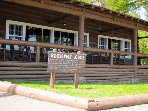 Roosevelt Lodge