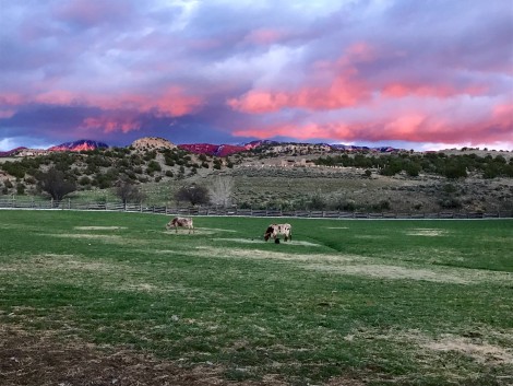 Edge end of Sunset by Susan Manlin Katzman