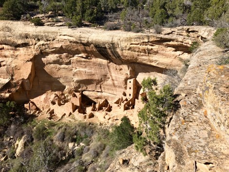 Mesa Verde by Susan Manlin Katzman