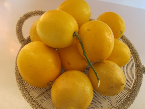 A basket of lemons.