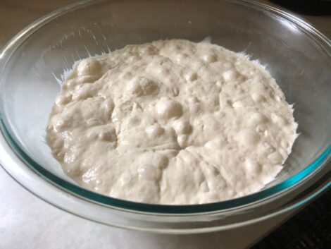 A bowl of bubbling dough.