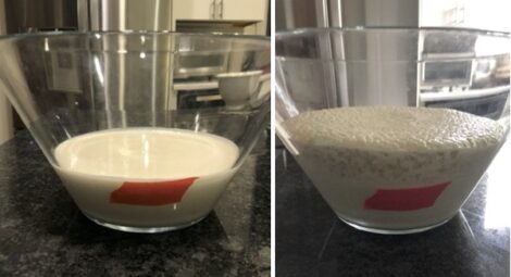 Before and after dosa batter ferments