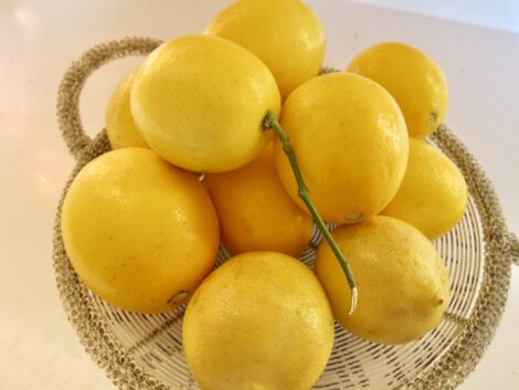A basket full of lemons.