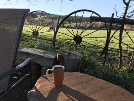 Sitting in front of the pasture at Canyon of the Ancients Guest Ranch drinking coffee