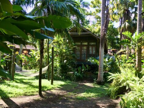 Lush greens surround a treehouse at Sunset at the Palms