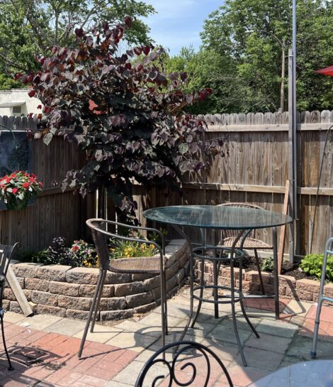 Outdoor tables at Iowa Buffet welcome kids and dogs.